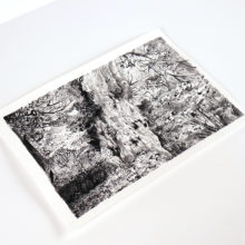 Yakushima - Le Yomon Sugi