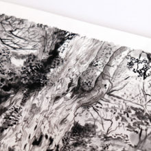 Yakushima - Le Yomon Sugi