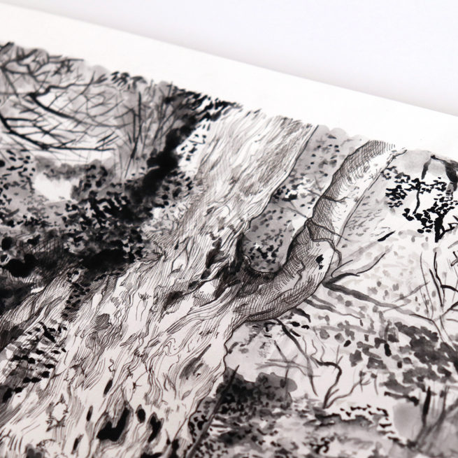 Yakushima - Le Yomon Sugi