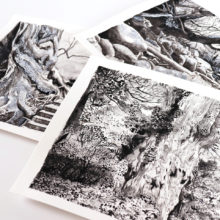 Yakushima - Le Yomon Sugi